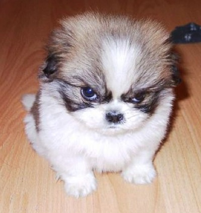 To fee or not to fee...