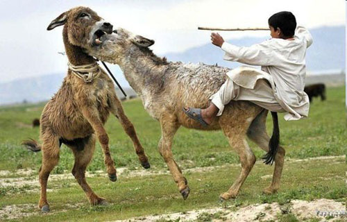 Why overhead should not be figured as a percentage.