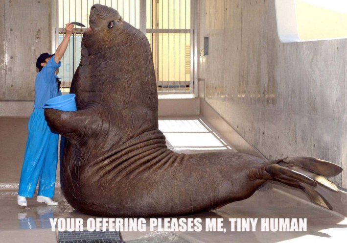 To fee or not to fee...