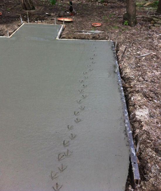 Why are we bidding this anyway?