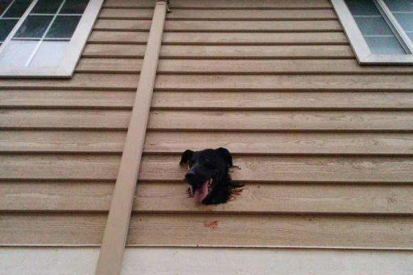 Walk the job to see your world