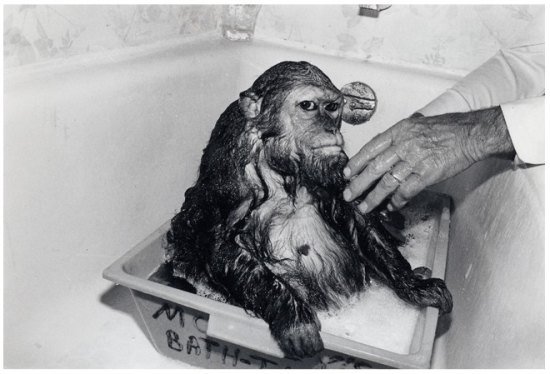 Request For Information