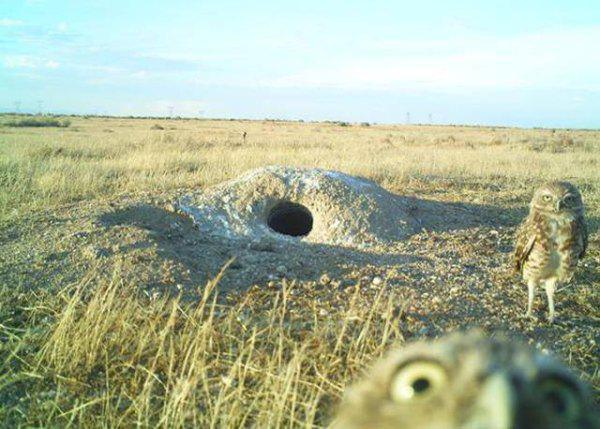 Request For Information