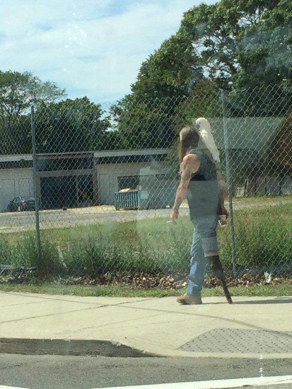 What to include in your bid