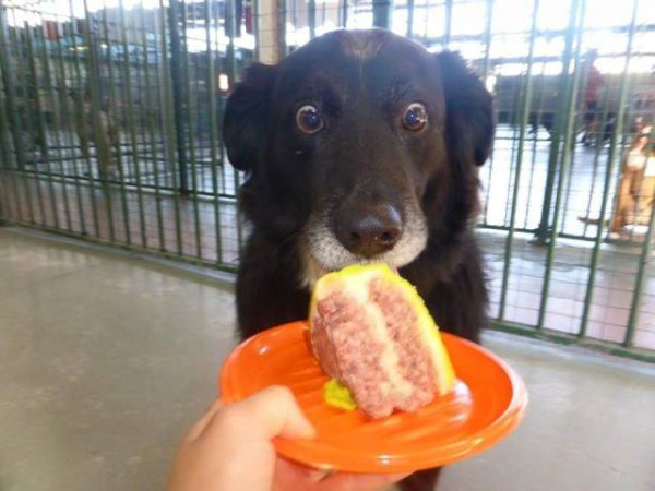 Reliable Estimating Part 2 Building momentum!