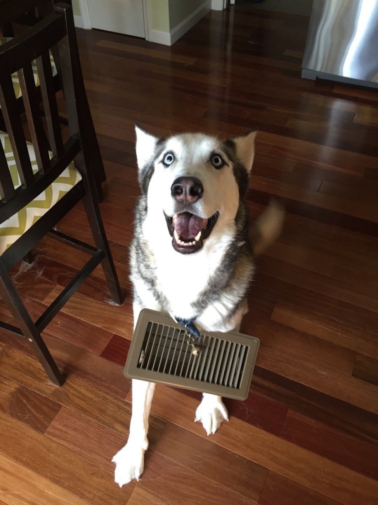 Reliable Estimating Part 1: Getting stuff out the door!