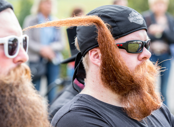 Statistics are the estimator's shorthand