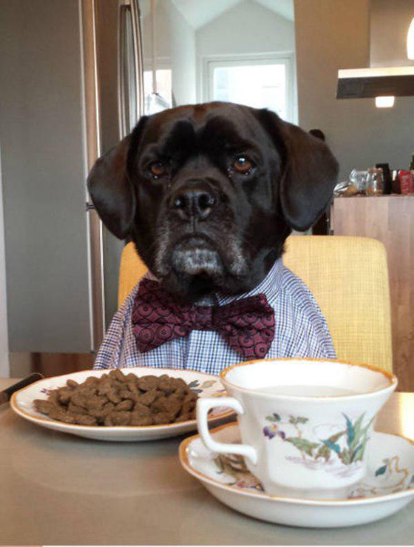 The five estimating personalities that make or break your bid.