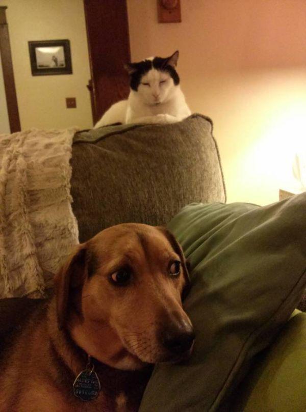 Asking the right question