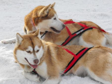 Seven new estimating ideas to try