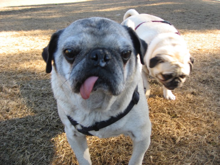 Seven new estimating ideas to try